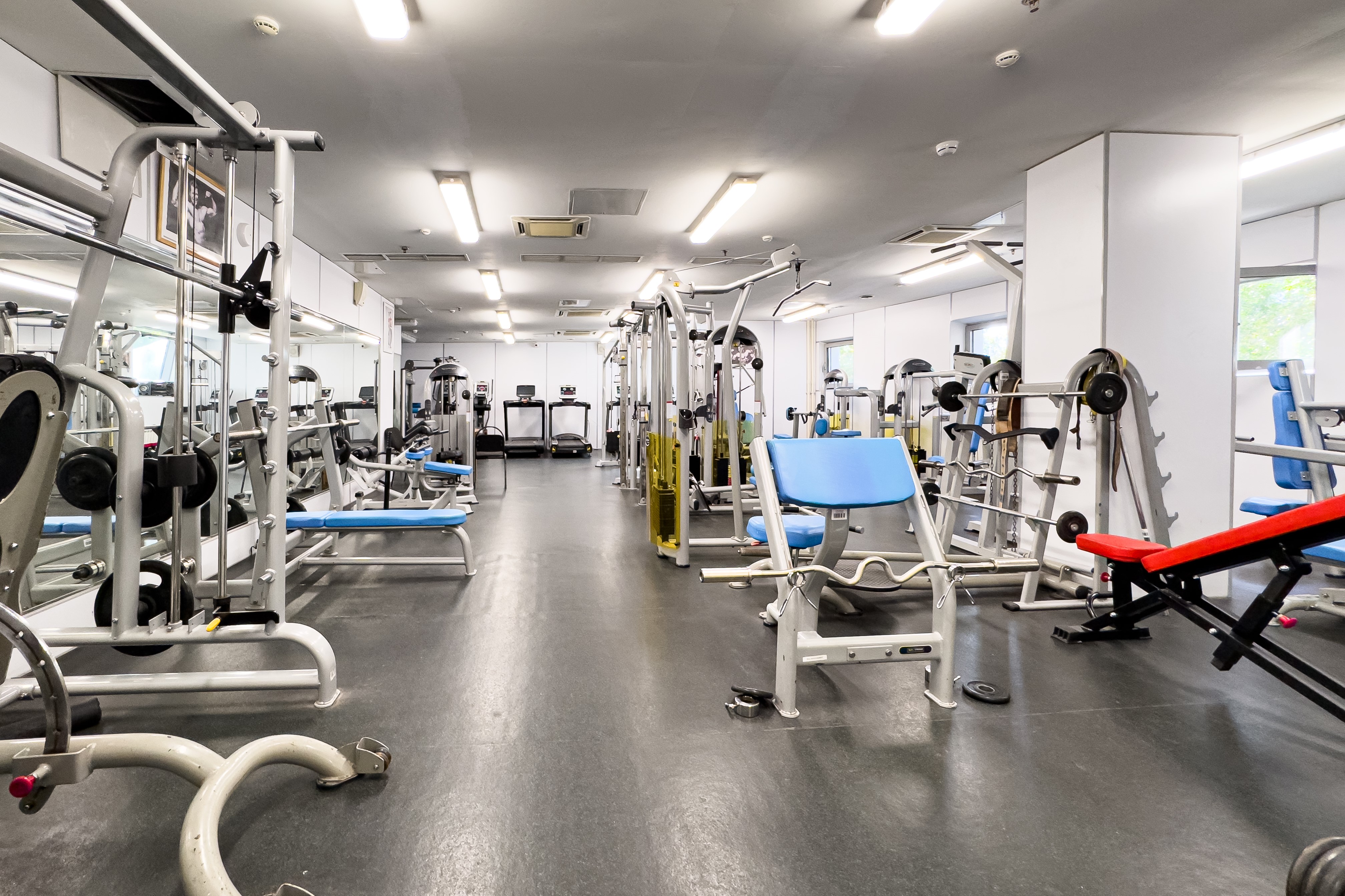 Изображение спорт зоны