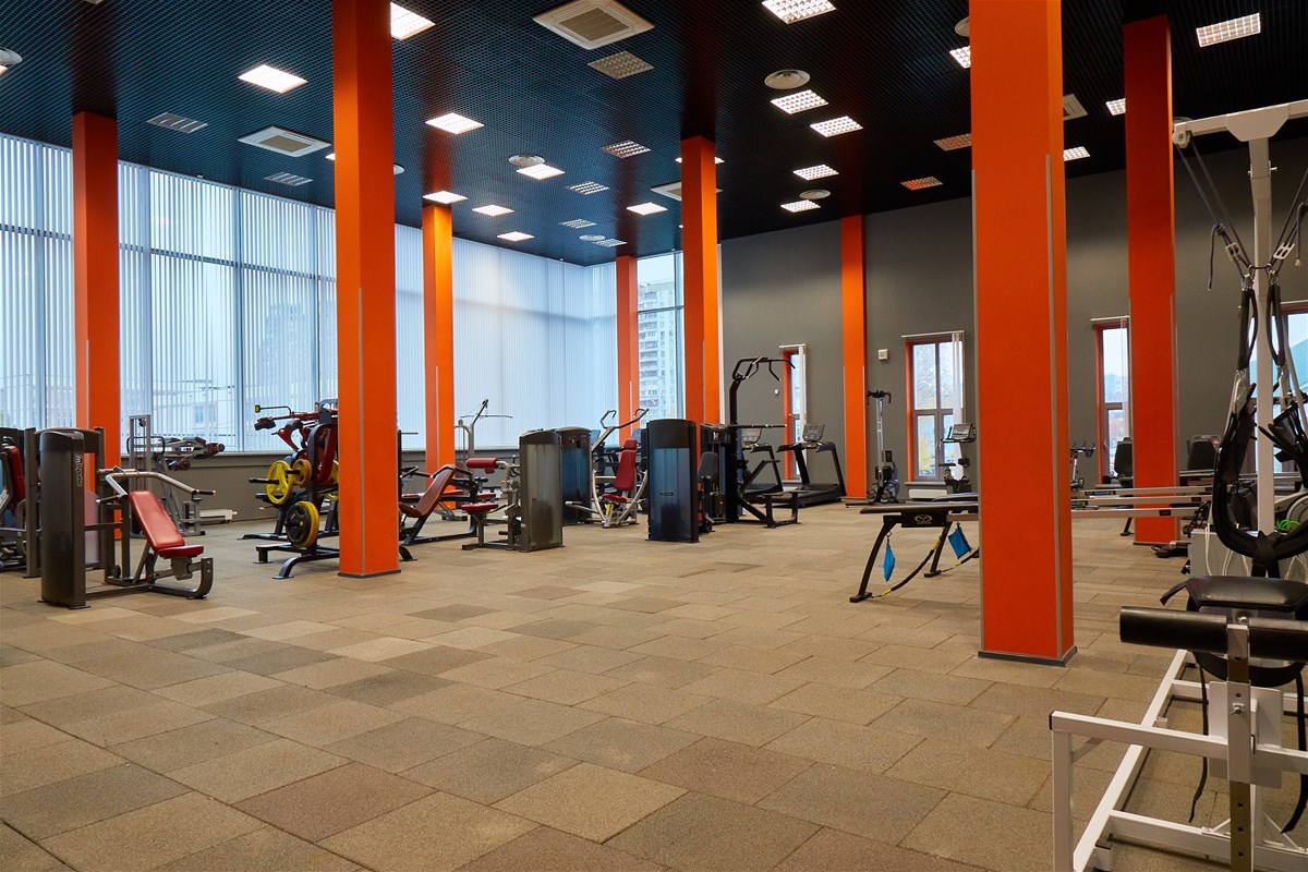 Изображение спорт зоны