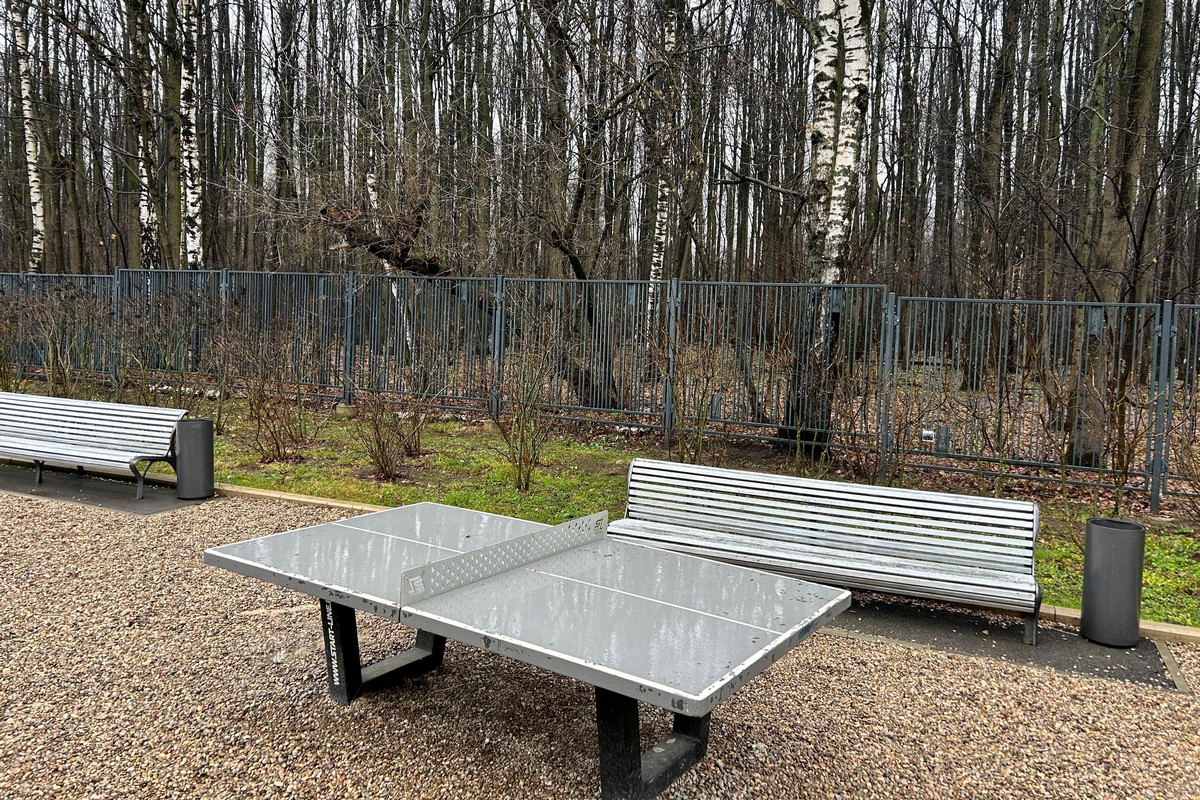 Изображение спорт зоны